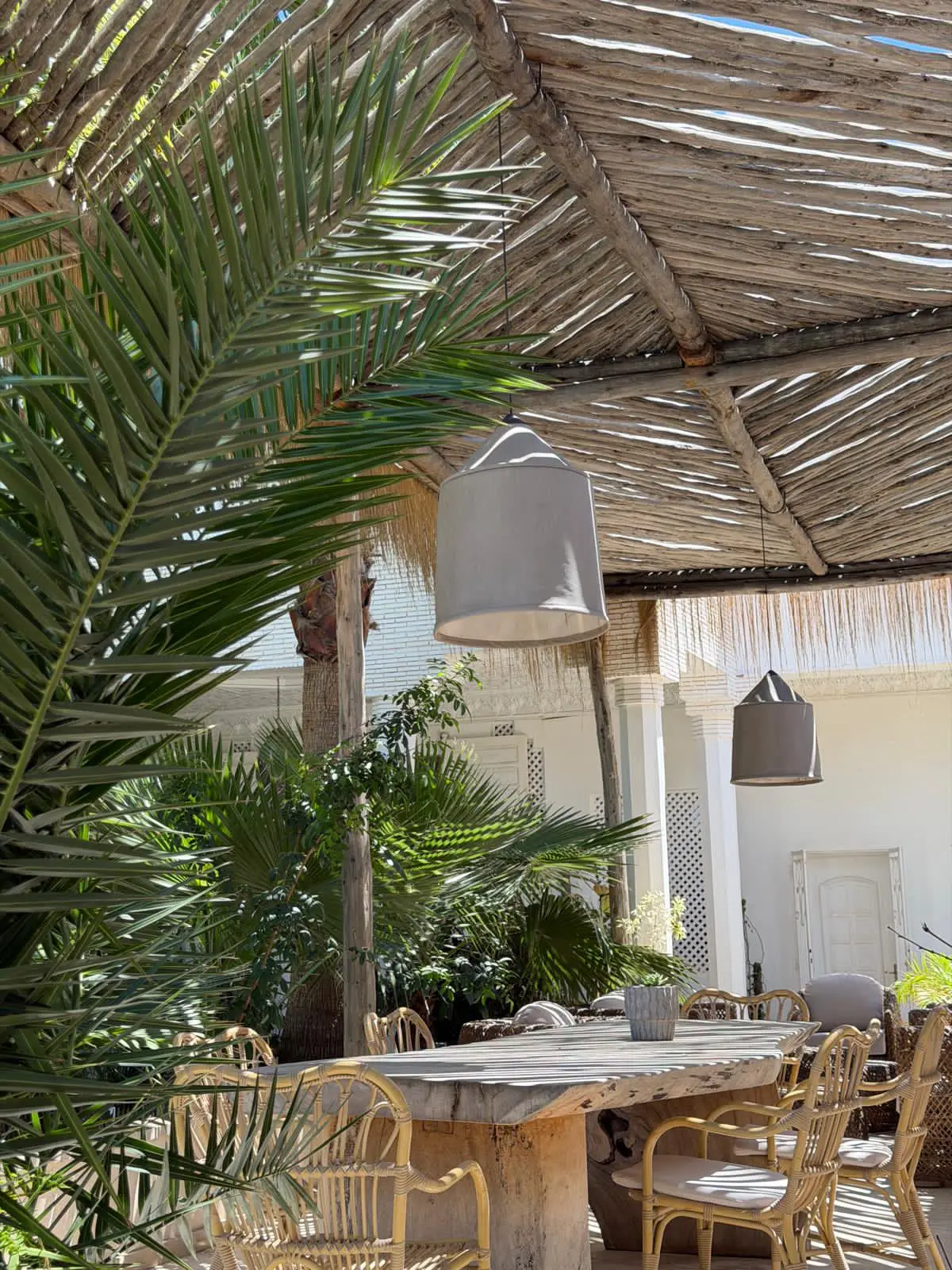 Les Palmiers